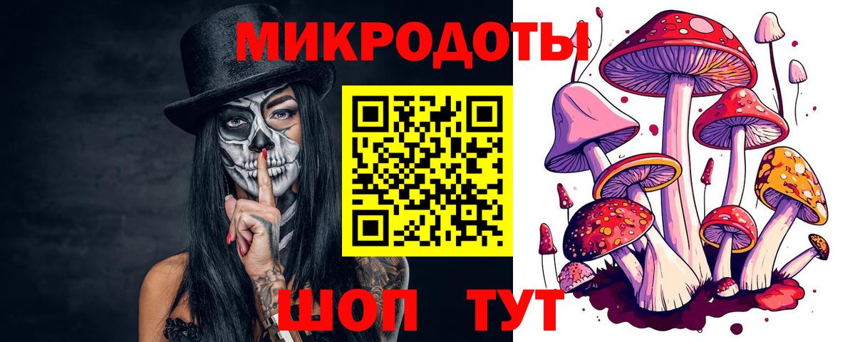 Псилоцибиновые грибы GOLDEN TEACHER Боровичи